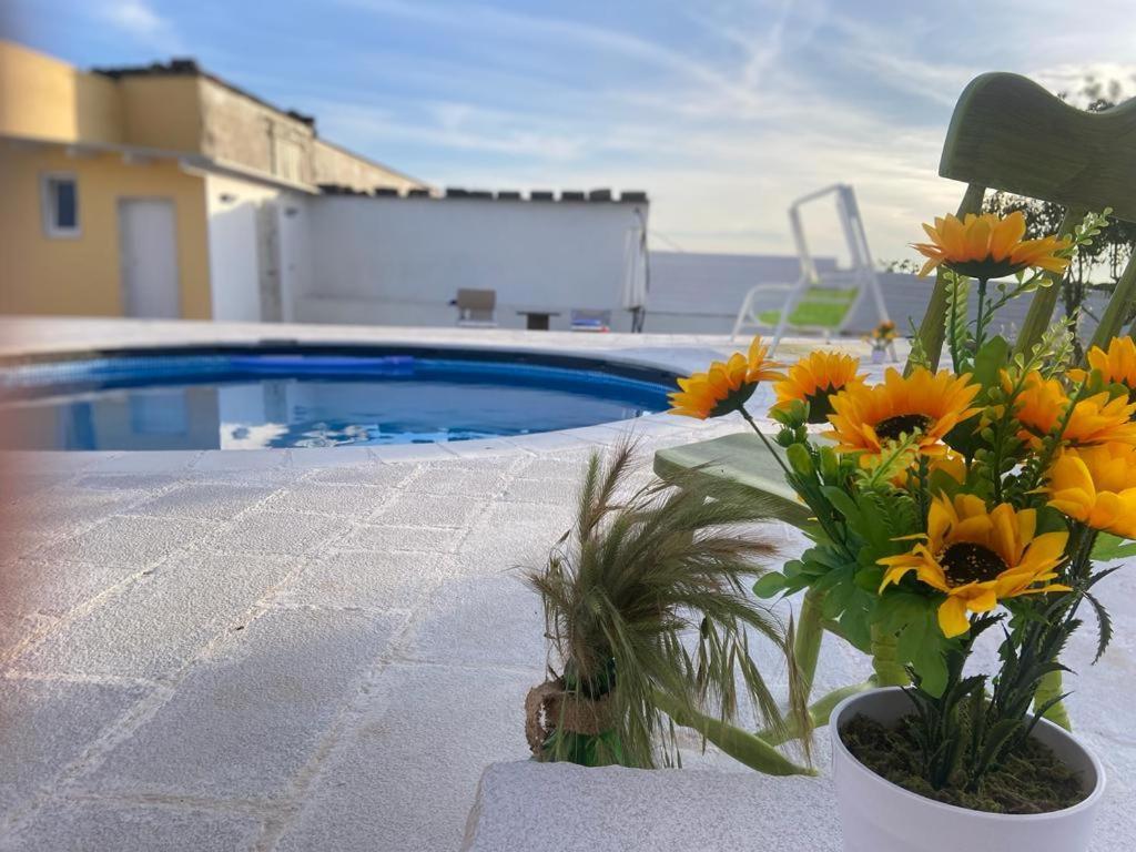 Casa Loredana Putignano Dış mekan fotoğraf