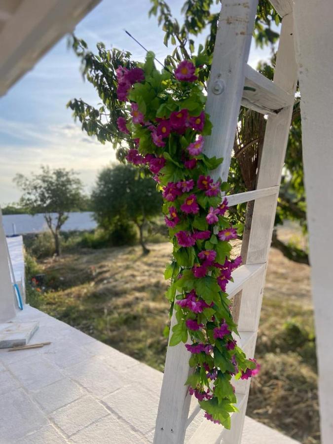 Casa Loredana Putignano Dış mekan fotoğraf