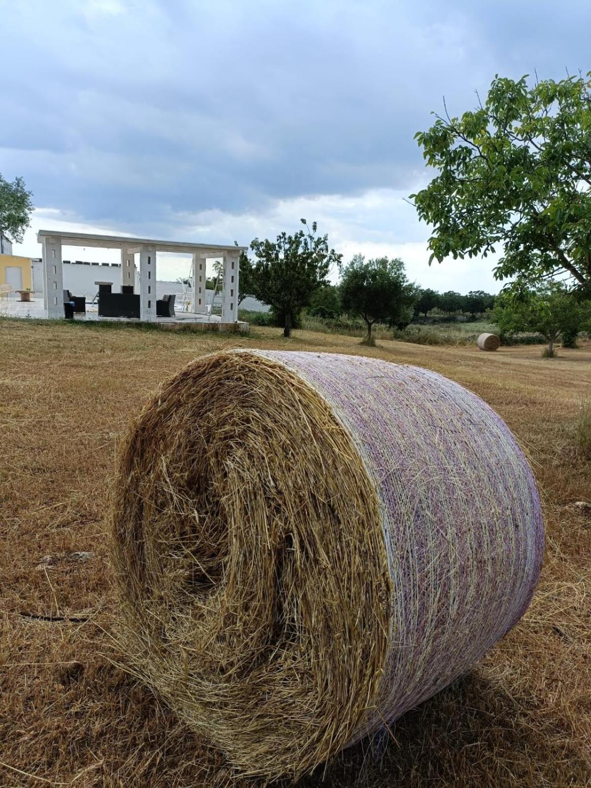 Casa Loredana Putignano Dış mekan fotoğraf